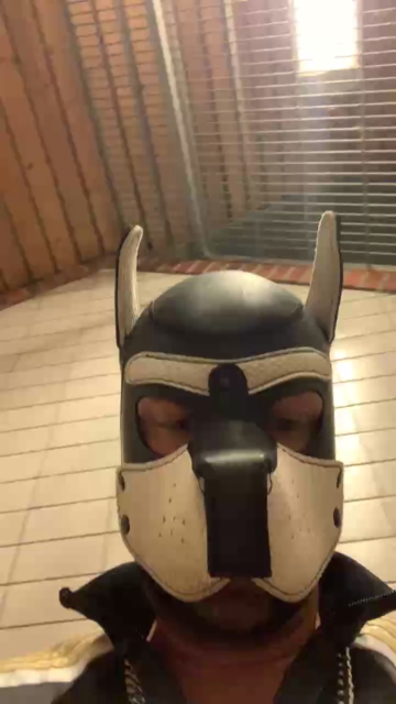 machobulle2  01-08-2021 Recorded Video Porn